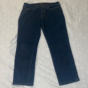 Banana Republic Skinny Jean